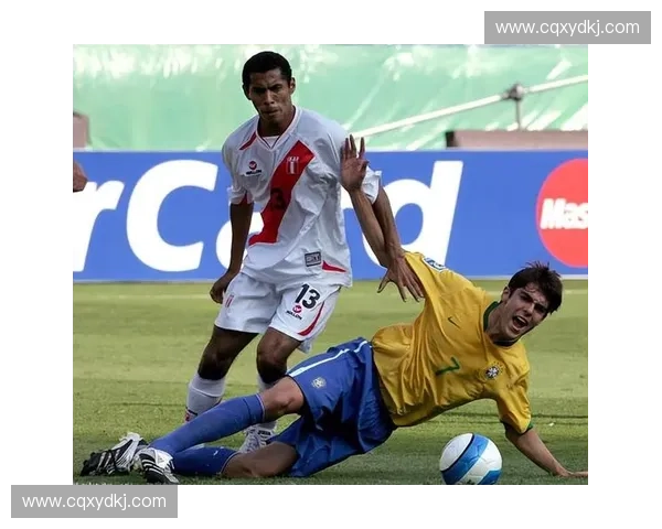 围绕2010世界杯纪录片重温南非绿茵传奇与时代记忆的全景叙事探索